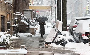 Snowstorm : 2021 :  New York : Personal Photo Projects : Photos : Richard Moore : Photographer